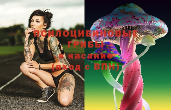 эйфоретик Армянск