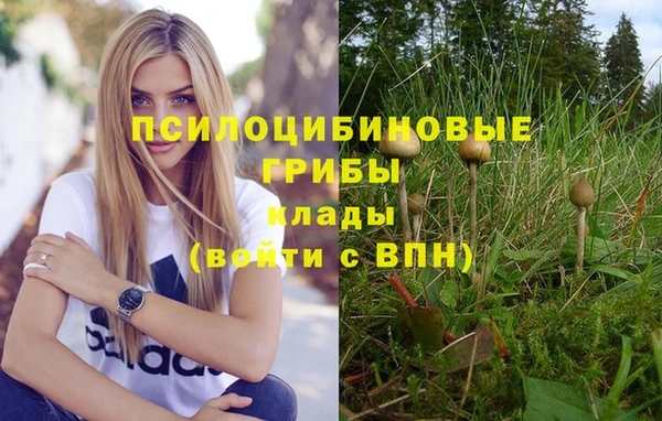 mix Алексеевка