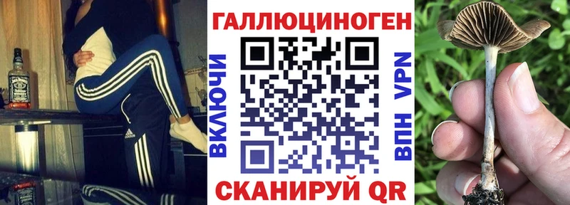 цена   МЕГА tor  Галлюциногенные грибы GOLDEN TEACHER  Гурьевск 